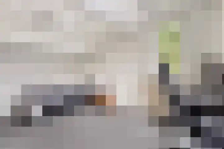 Bartoklaan 12 Oss thumbnail 36