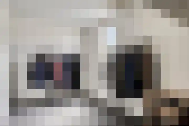 Bartoklaan 12 Oss thumbnail 38