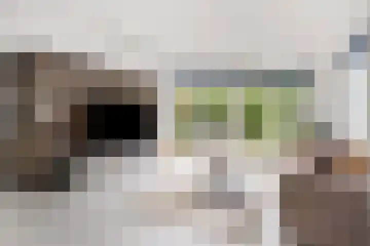 Bartoklaan 12 Oss thumbnail 4