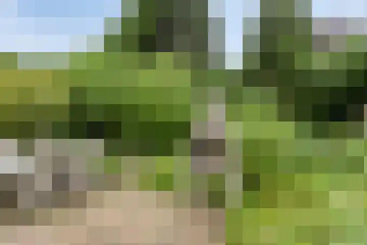 Bartoklaan 12 Oss thumbnail 40