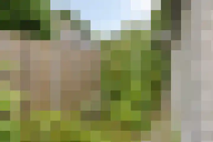 Bartoklaan 12 Oss thumbnail 42