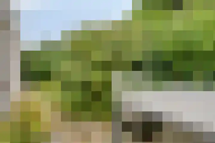 Bartoklaan 12 Oss thumbnail 43