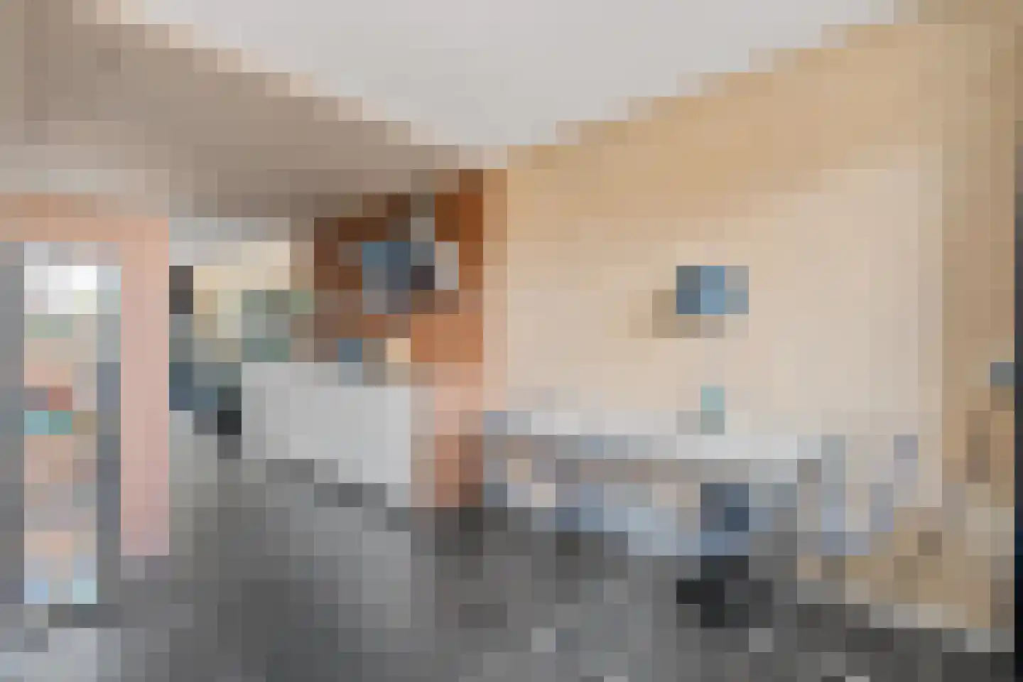 Bartóklaan 20 Utrecht thumbnail 19