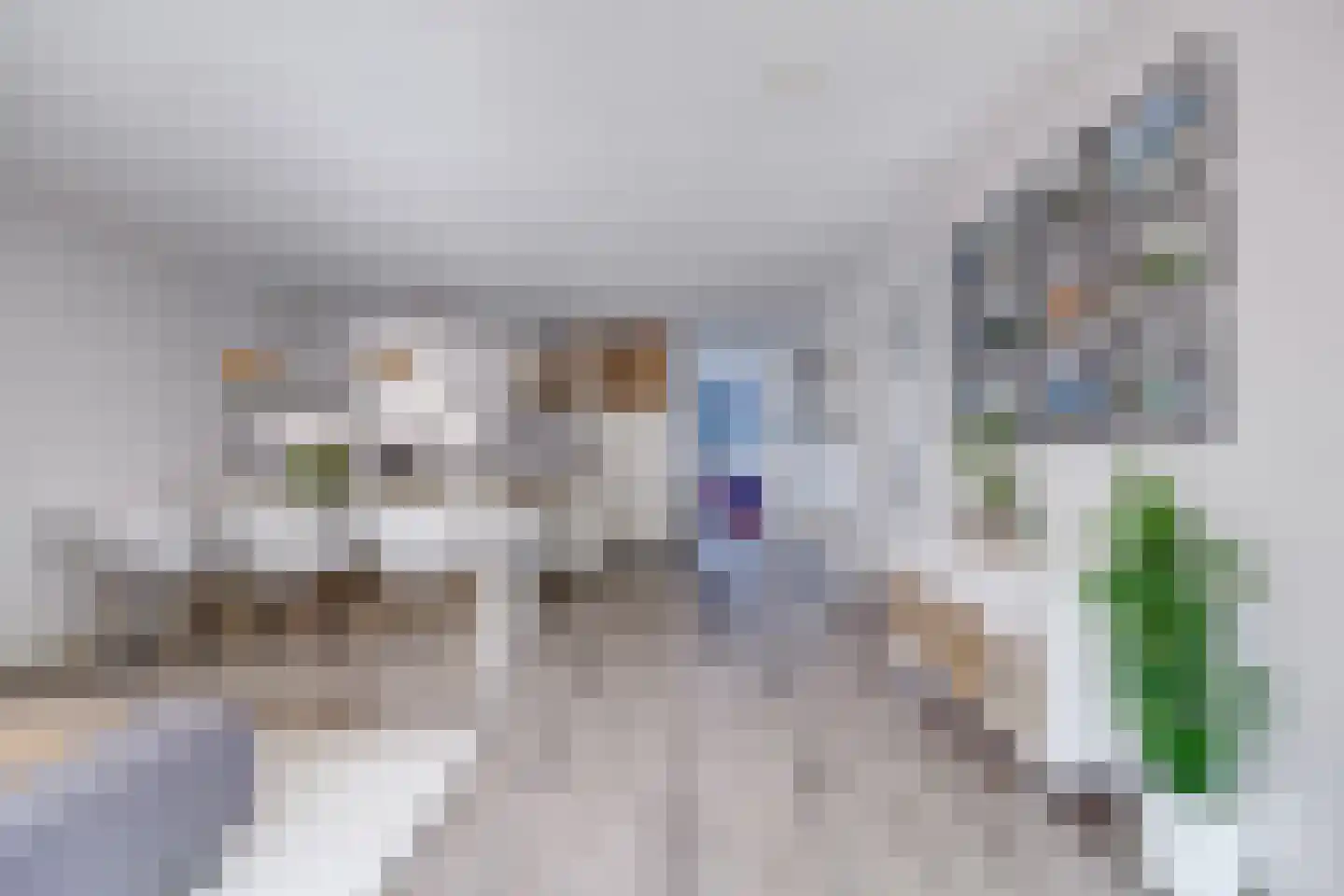 Bartóklaan 60 Utrecht thumbnail 22