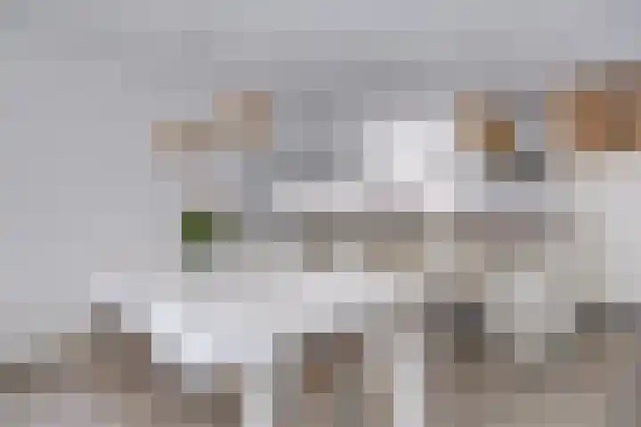 Bartóklaan 60 Utrecht thumbnail 26