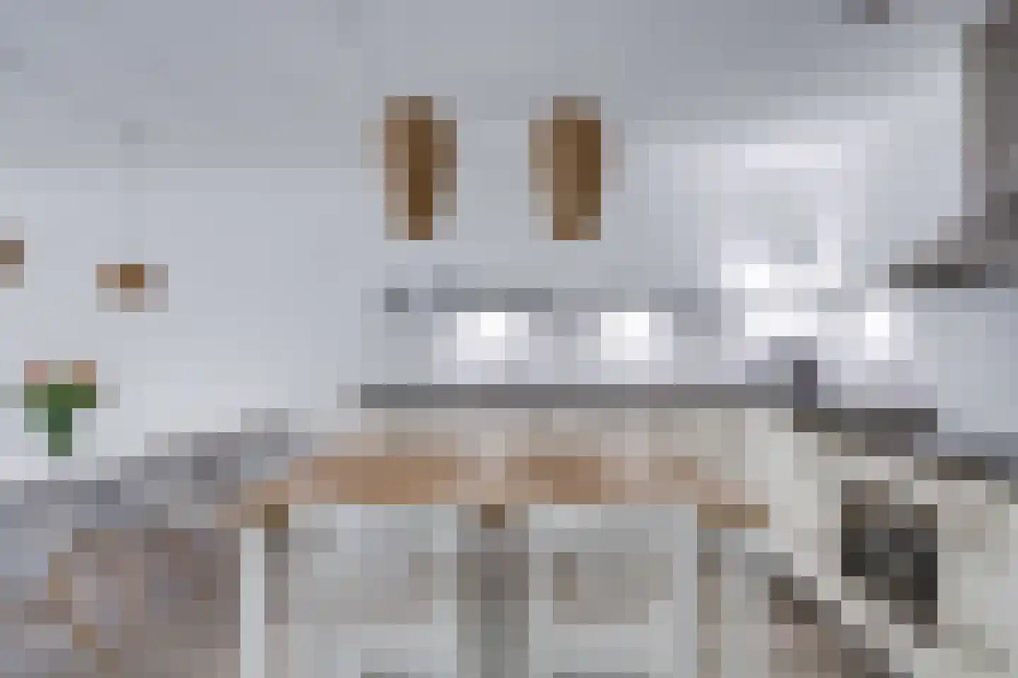Bartóklaan 60 Utrecht thumbnail 27