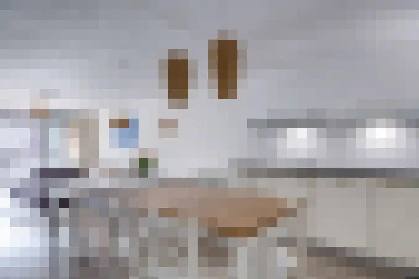 Bartóklaan 60 Utrecht thumbnail 30