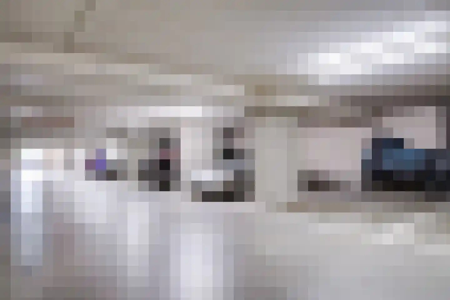 Bartóklaan 60 Utrecht thumbnail 54
