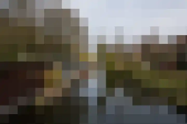 Bartóklaan 60 Utrecht thumbnail 60