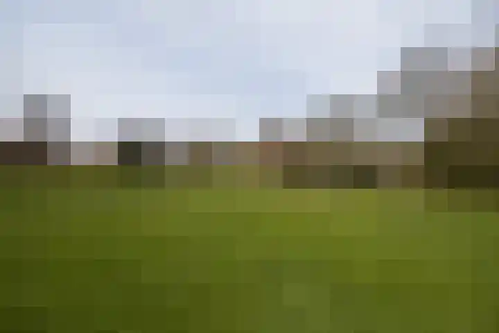 Bartóklaan 60 Utrecht thumbnail 63