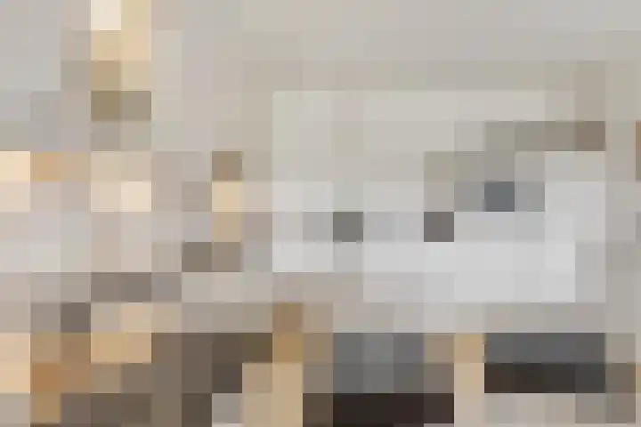 Bartóklaan 72 Utrecht thumbnail 17