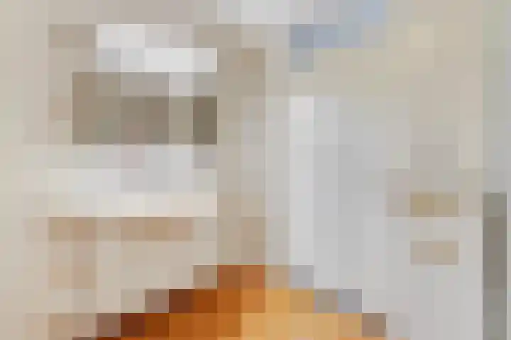 Bartóklaan 72 Utrecht thumbnail 34
