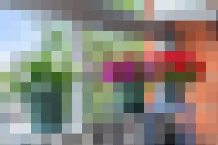 Bartóklaan 72 Utrecht thumbnail 37