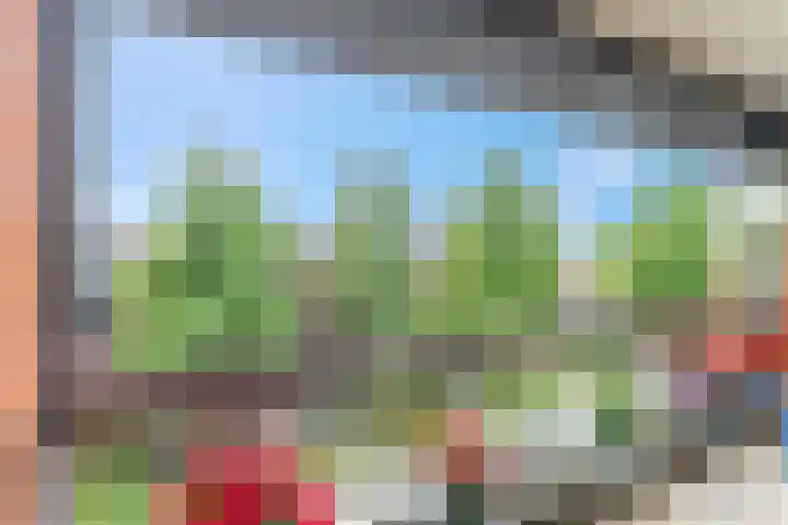 Bartóklaan 72 Utrecht thumbnail 39
