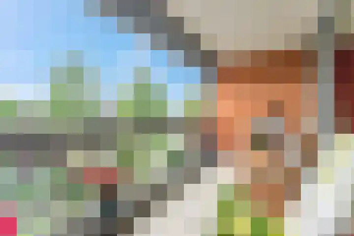 Bartóklaan 72 Utrecht thumbnail 4