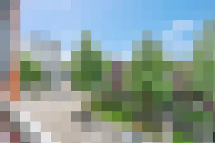 Bartóklaan 72 Utrecht thumbnail 40