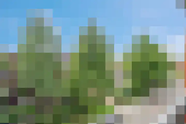Bartóklaan 72 Utrecht thumbnail 41
