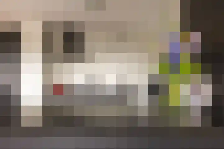 Bartóklaan 74 Utrecht thumbnail 12