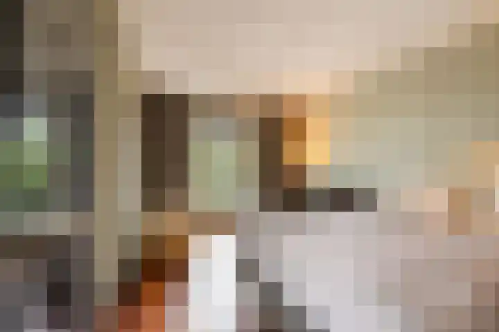 Bartóklaan 74 Utrecht thumbnail 15