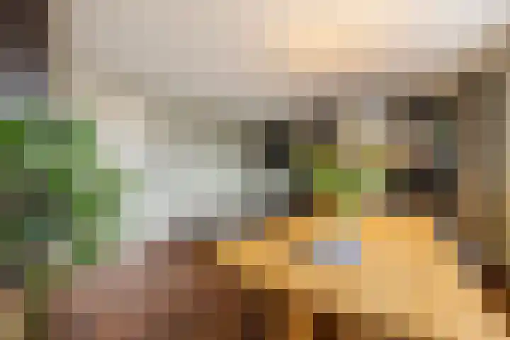 Bartóklaan 74 Utrecht thumbnail 19