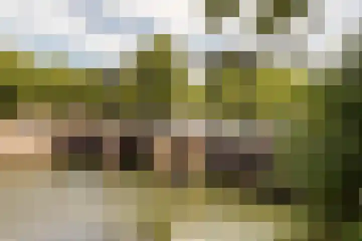 Bartóklaan 74 Utrecht thumbnail 23