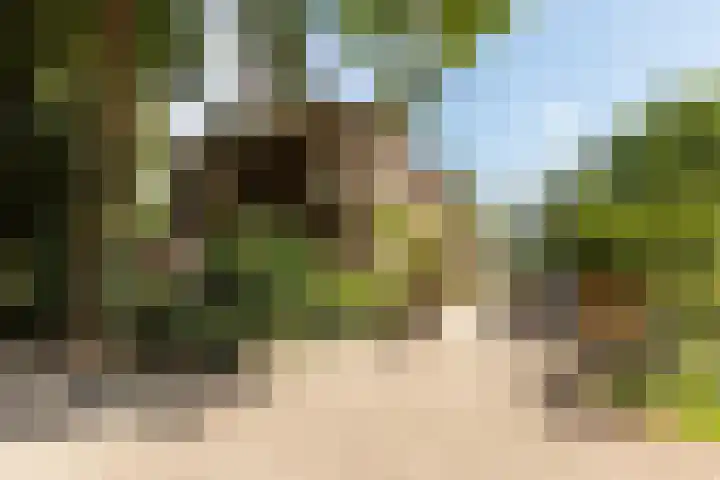 Bartóklaan 74 Utrecht thumbnail 24