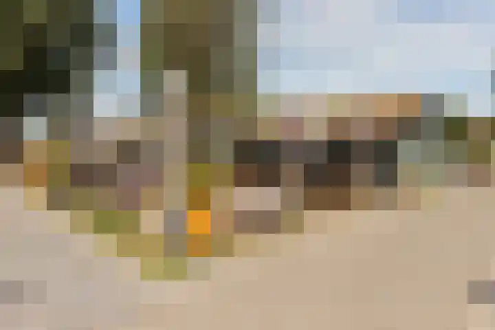 Bartóklaan 74 Utrecht thumbnail 26