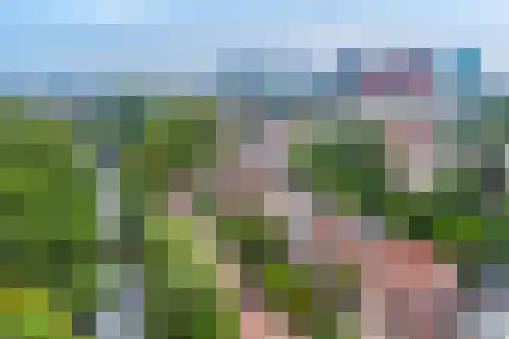 Bartóklaan 74 Utrecht thumbnail 28
