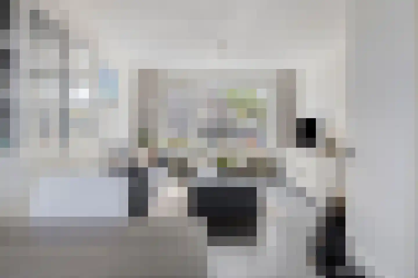 Bartoklaan 9 Oosterhout thumbnail 9