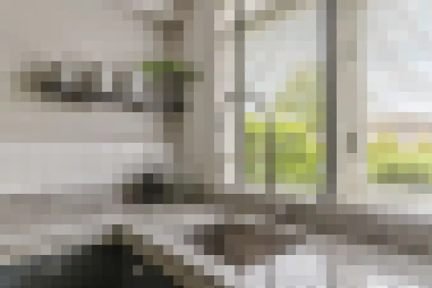 Bartokplantsoen 24 Barendrecht thumbnail 19