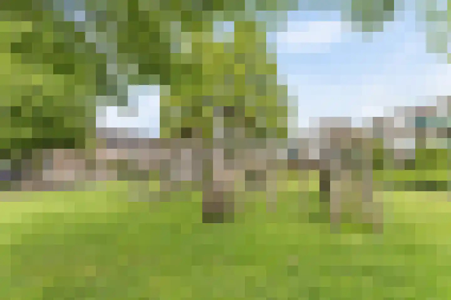 Bartokplantsoen 24 Barendrecht thumbnail 6