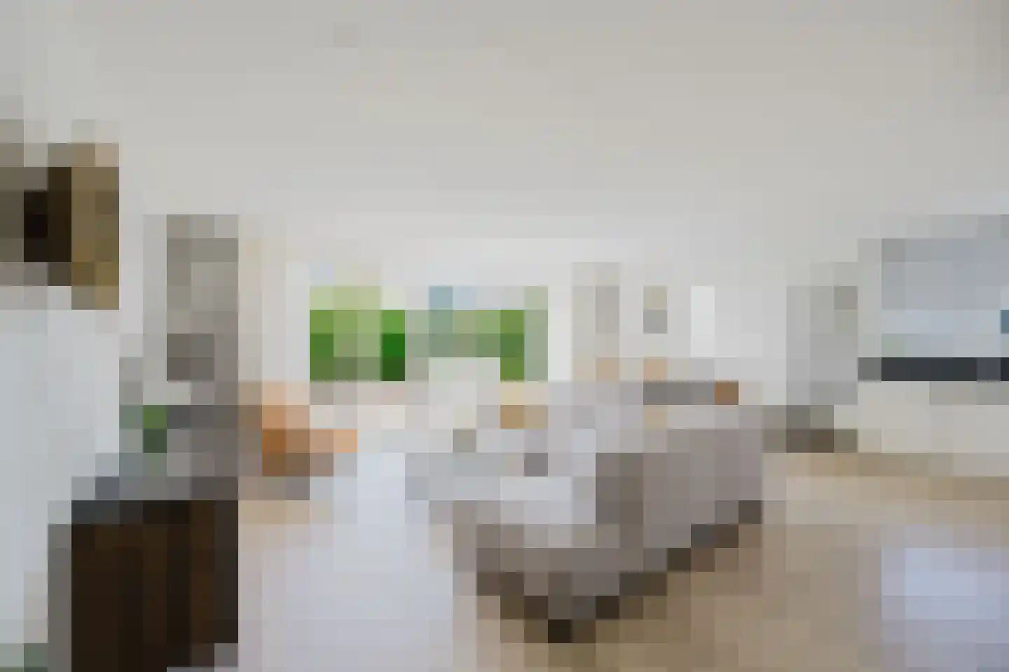 Bartokstraat 1 Rhoon thumbnail 11