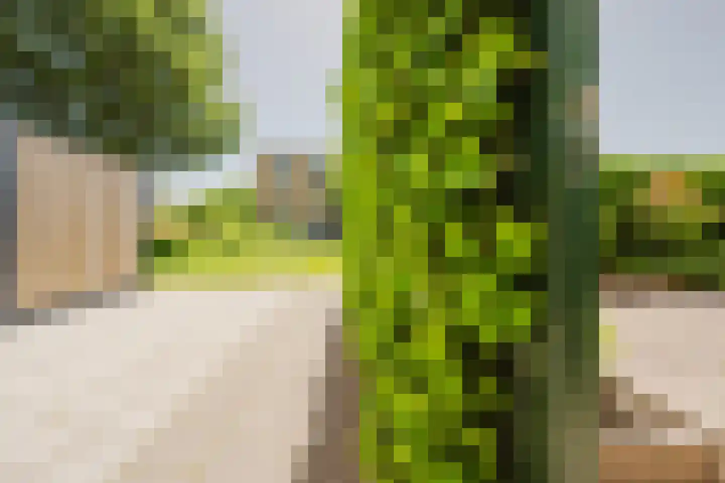 Bartokstraat 1 Rhoon thumbnail 16