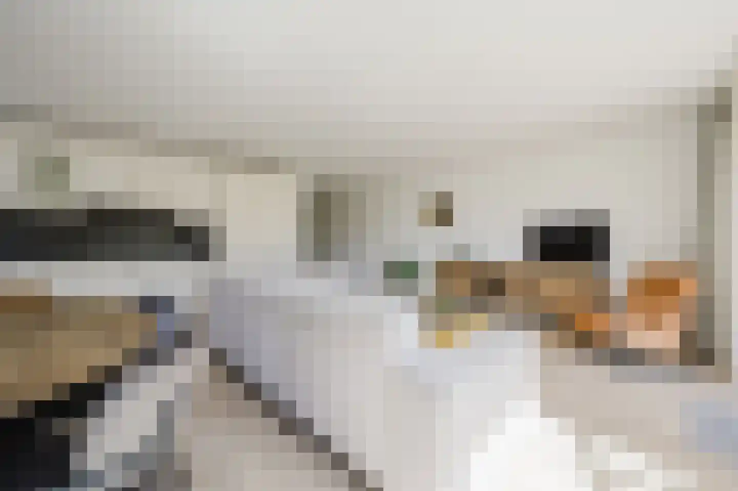 Bartokstraat 1 Rhoon thumbnail 19