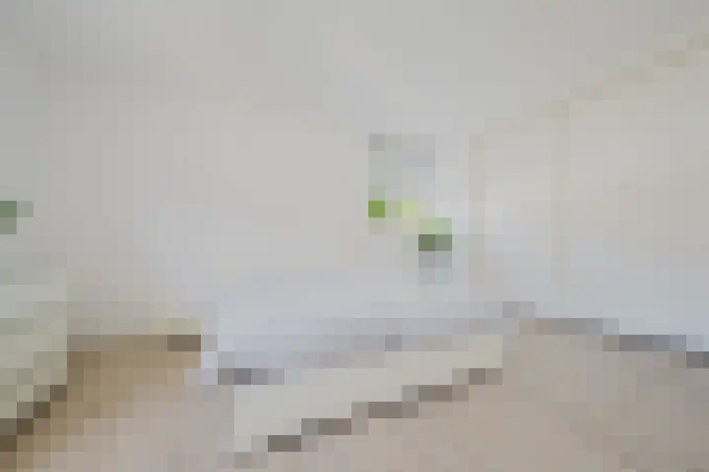Bartokstraat 1 Rhoon thumbnail 22