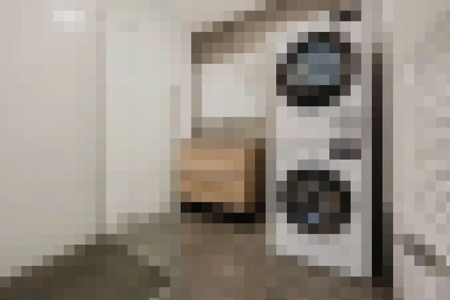 Bartokstraat 1 Rhoon thumbnail 4