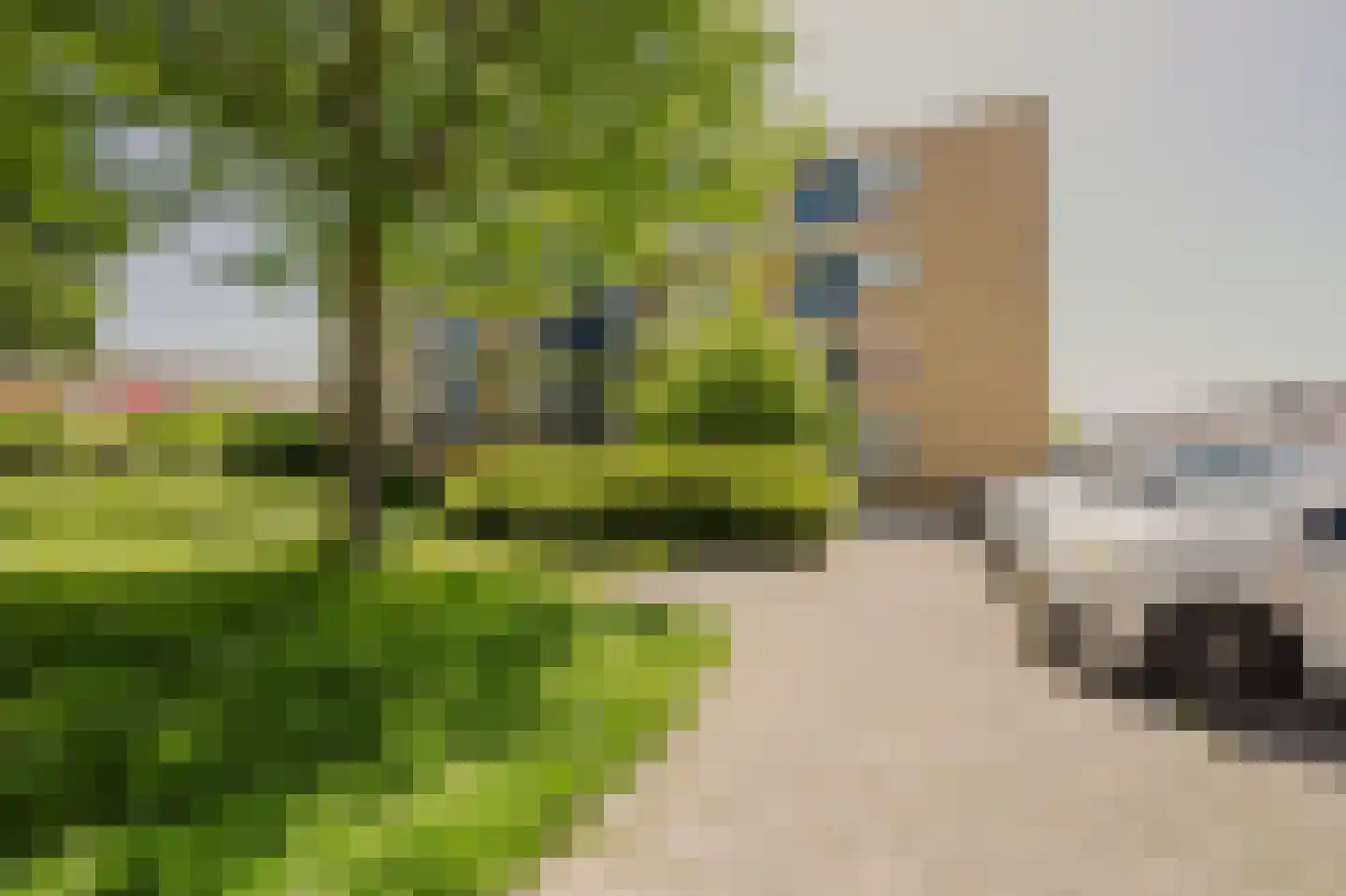 Bartokstraat 1 Rhoon thumbnail 7