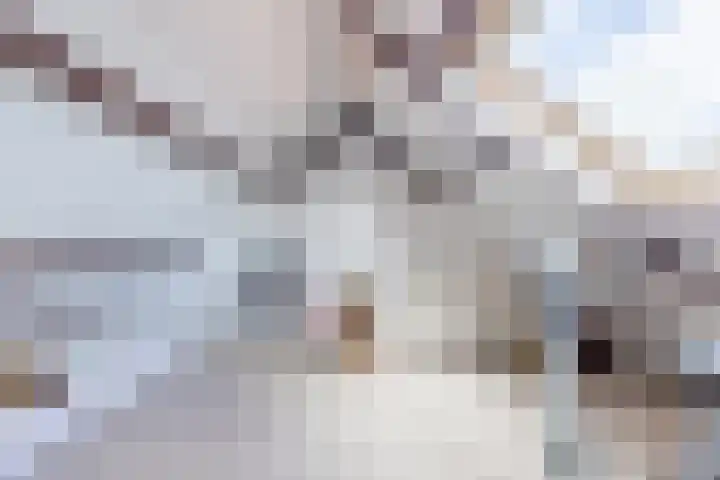 Bartokstraat 10 Bergen op Zoom thumbnail 30