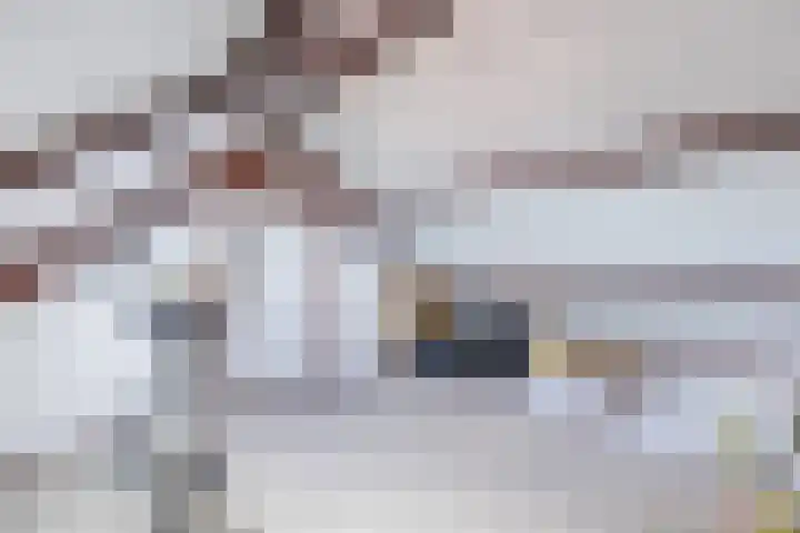 Bartokstraat 10 Bergen op Zoom thumbnail 33