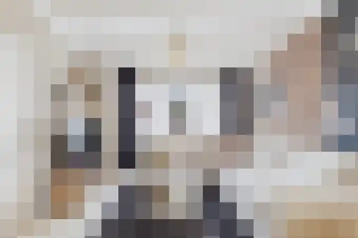 Bartokstraat 10 Terneuzen thumbnail 12