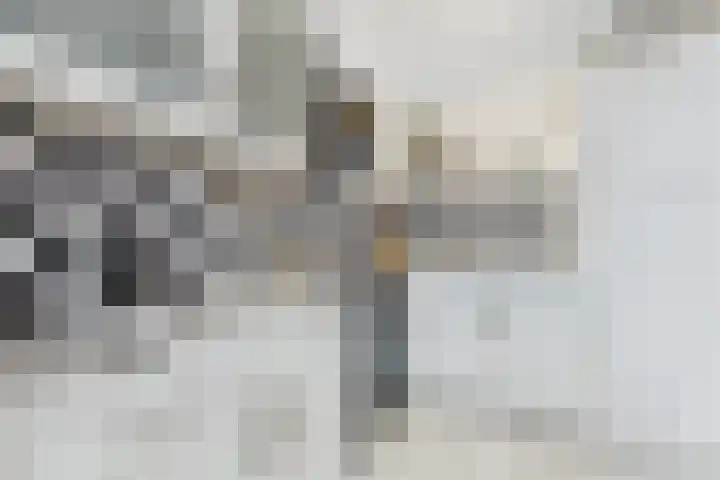 Bartokstraat 10 Terneuzen thumbnail 15