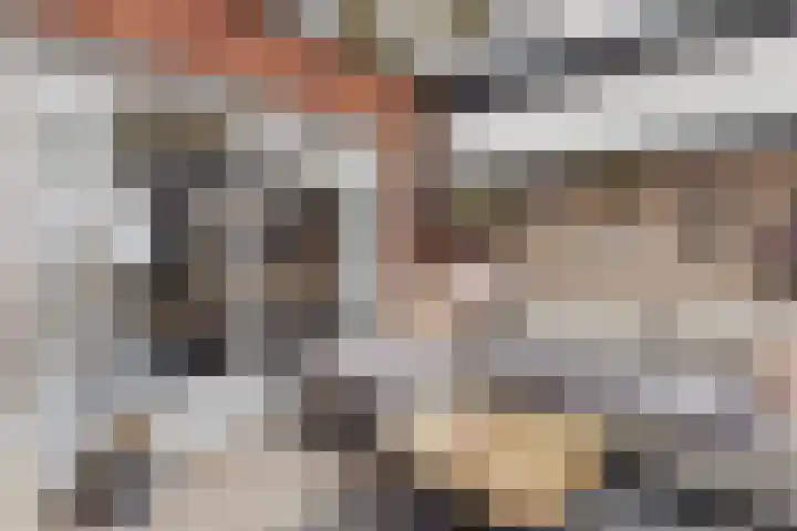 Bartokstraat 10 Terneuzen thumbnail 30
