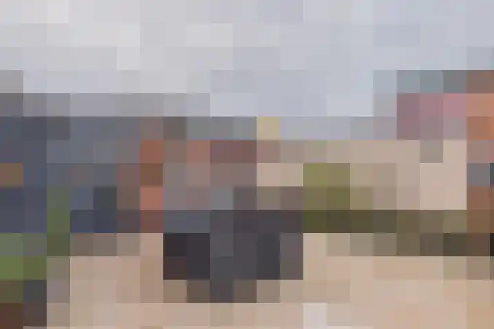 Bartokstraat 10 Terneuzen thumbnail 31