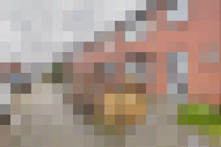Bartokstraat 10 Terneuzen thumbnail 33