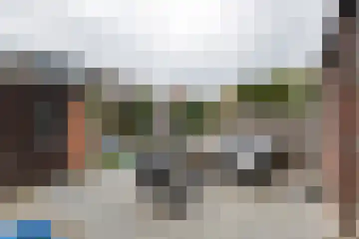 Bartokstraat 17 Culemborg thumbnail 34