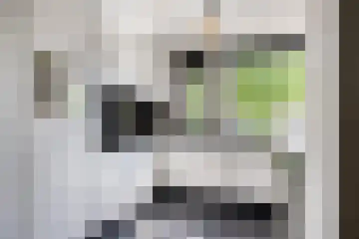 Bartokstraat 2 Schijndel thumbnail 17