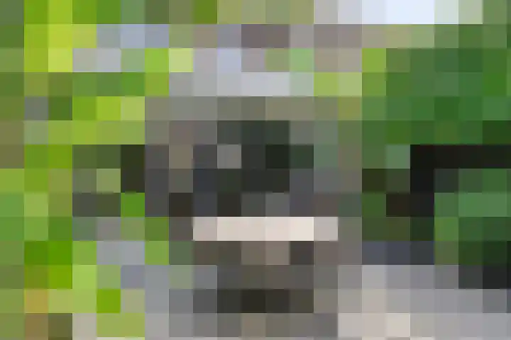 Bartokstraat 2 Schijndel thumbnail 4
