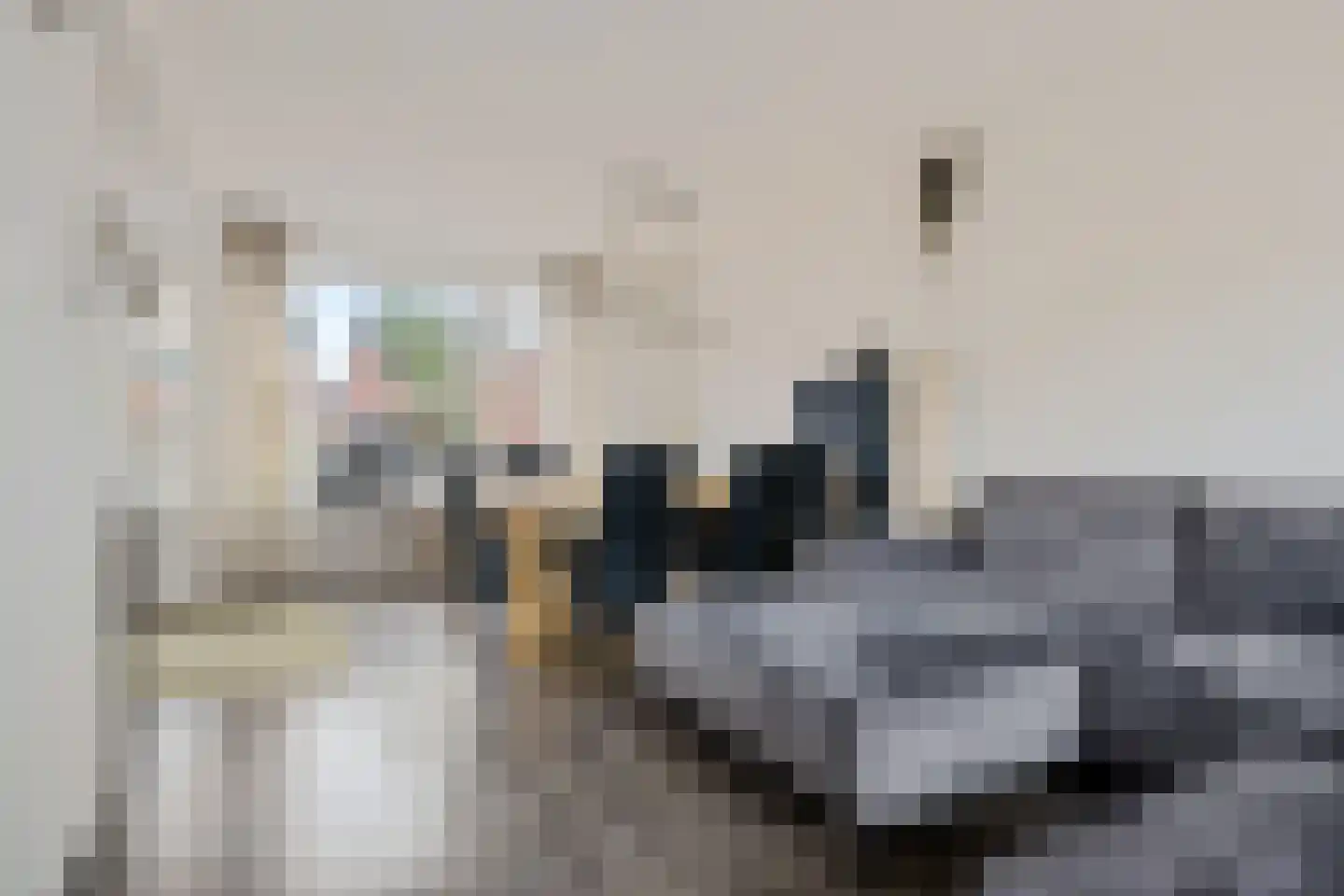 Bartokstraat 2 Schijndel thumbnail 42
