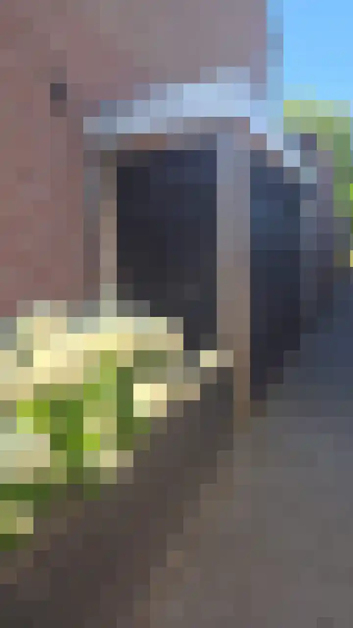 Bartokstraat 2 Schijndel thumbnail 43