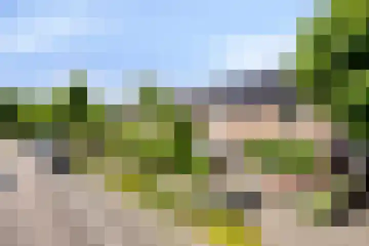Bartokstraat 2 Schijndel thumbnail 5